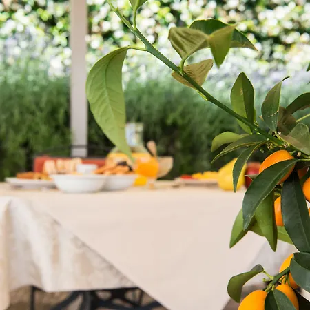 Phi Astoria 酒店 4*