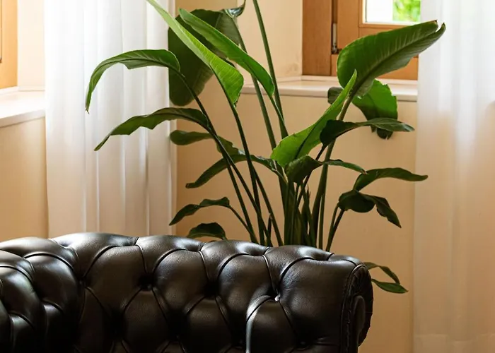 Hotel Phi Astoria 4*