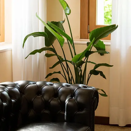 Hotel Phi Astoria 4*